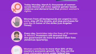 Day Without Women in Mexico Infographic