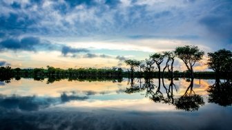 Strengthening Cooperation for Amazon Conservation and Climate Solutions