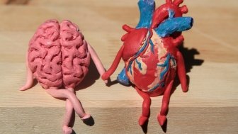 figurines of a brain and heart