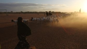 Sandstorm Sahel