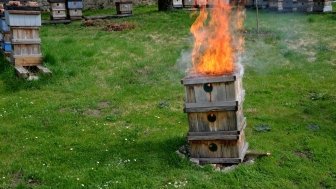 The burning of diseased beekeeping equipment