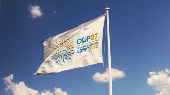 COP 27 Flag