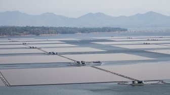 Aerial view of Floating solar panels or solar cell Platform system on the lake at Waduk Cirata