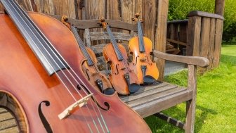 wooden antique musical instruments