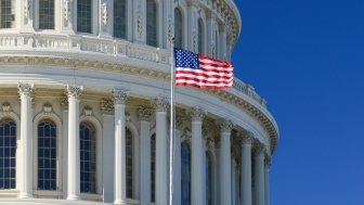 Image - Capitol Hill with Flag