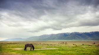 Horse in the mountains at dramatic overcast sky near Alakol lake in Kazakhstan, central Asia