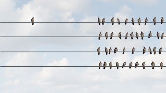 group of birds on a wire one separate from the group