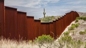 Border fence along Arizona border. A cactus is seen in distance