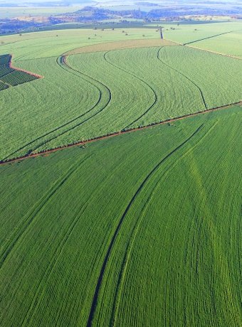 Sustainable Agriculture in the Tropics: A Conversation on Best Practices with Brazil’s Minister of Agriculture Tereza Cristina