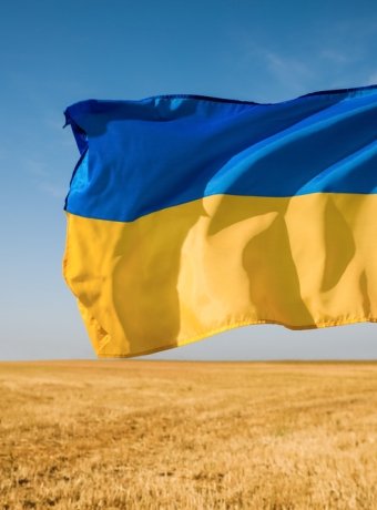 Ukraine flag