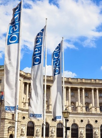 OSCE flags in Vienna