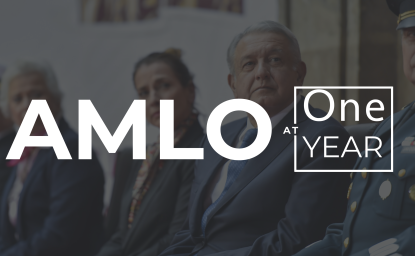 AMLO at One Year