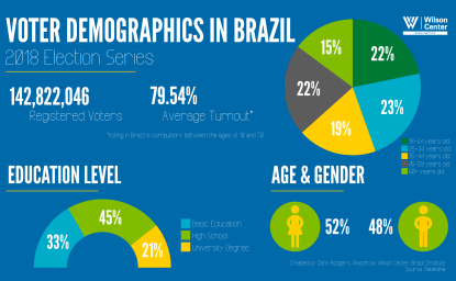 Voter Demographics in Brazil