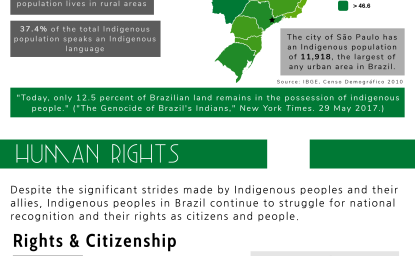 Indigenous Peoples of Brazil