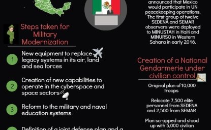 Infographic | National Security Under Peña Nieto's Administration