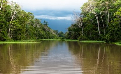 The Scientific, Social, and Economic Dimensions of Development in the Amazon