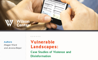 Vulnerable Landscapes: Case Studies of Violence and Disinformation