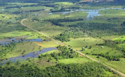 Aerial view of the Amazon Rainforest, near Manaus