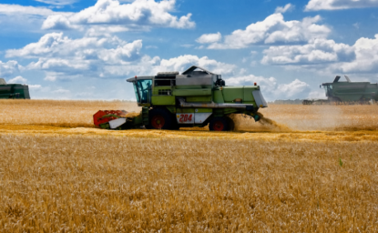 Harvesters work in the wheat in Ukraine