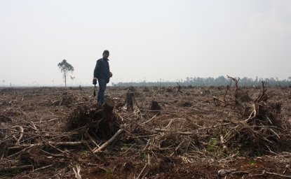 China’s Biodiversity