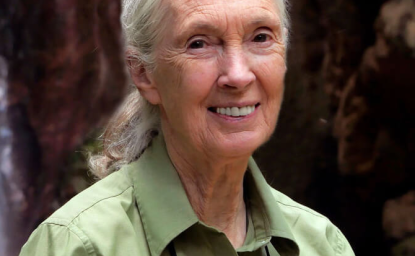 Headshot of Jane Goodall