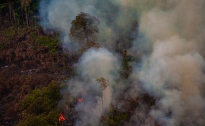 Image  - Fire in the Amazon