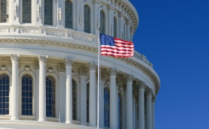 Image - Capitol Hill with Flag