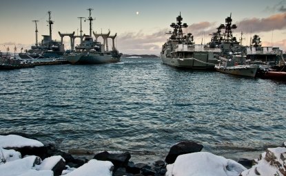 Nordic Security Arctic pic