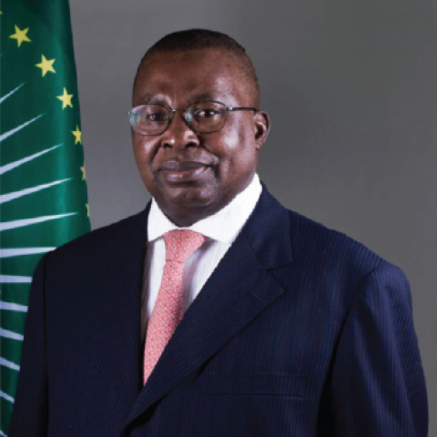 H.E. Commissioner Albert Muchanga