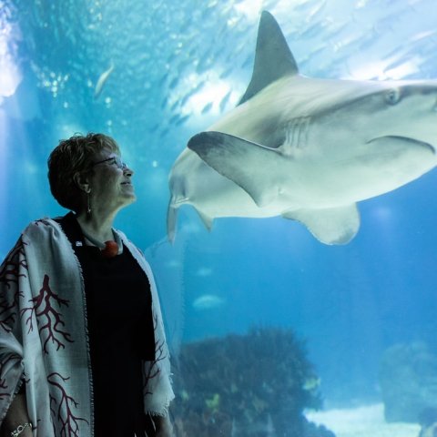 Dr. Jane Lubchenco