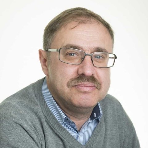 Vladimir Gel'man