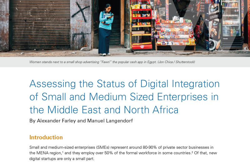 Assessing the Status of Digital Integration