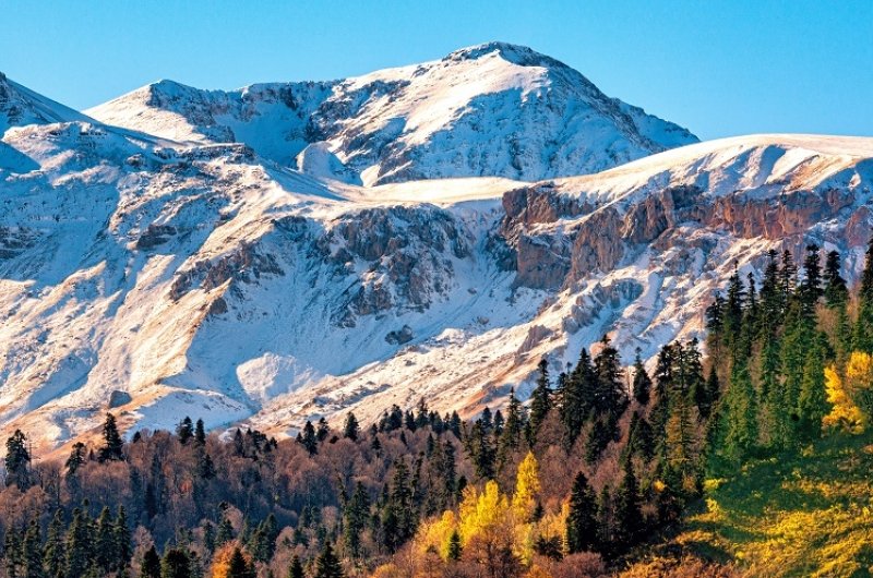 Snow covered mountains with fall forest