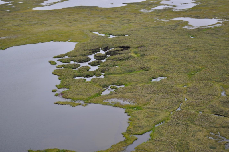 Permafrost degradation