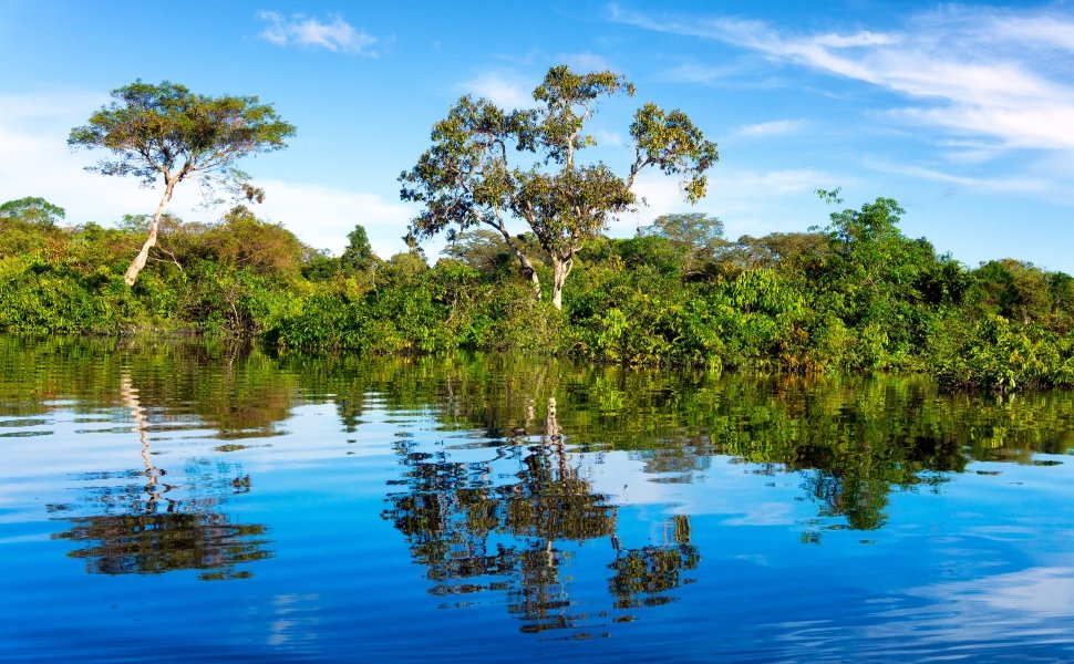 Image - BI - Amazon River Tree Reflections