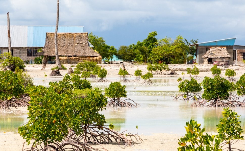 Village on South Tarawa atoll, Kiribati, Gilbert islands, Micronesia, Oceania. Thatched roof houses. Rural life on a sandy beach of remote paradise atoll island under palms and with mangroves around.