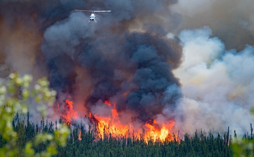 wild forest fire in Canada