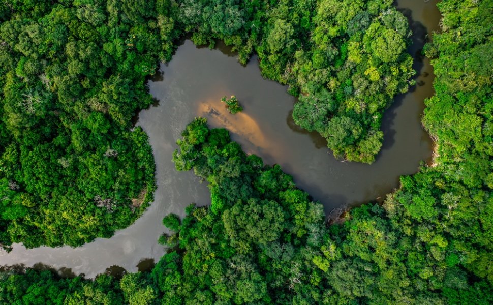 Jungle and river in the Amazon