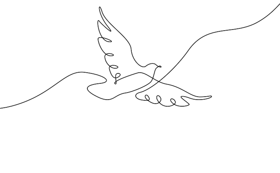 outline of dove