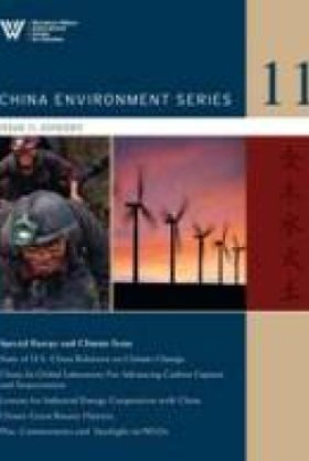 China Environment Series 11(2010/2011)