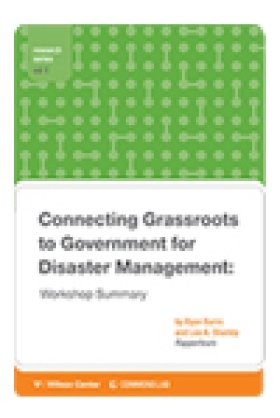 Connecting Grassroots to Government for Disaster Management: Workshop Summary