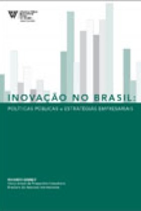 Inova&ccedil;&atilde;o no Brasil: Pol&#237;ticas P&#250;blicas e Estrat&#233;gias Empresariais