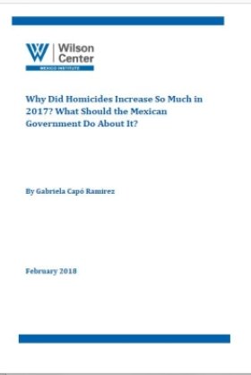 Why Did Homicides Increase So Much in 2017? What Should the Mexican Government Do About It?