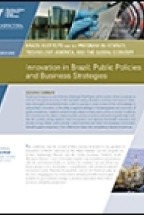 Brazil's Innovation Challenge: Public Policies and Business Strategies