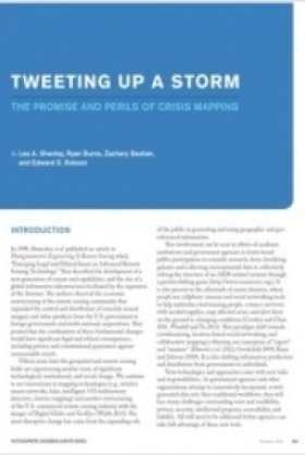 Tweeting Up a Storm: The Promise and Perils of Crisis Mapping