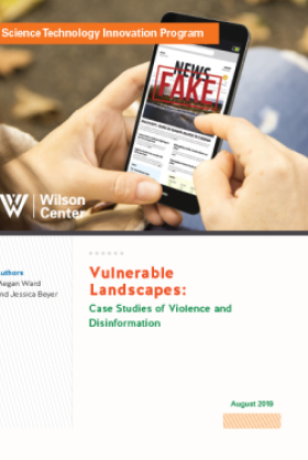 Vulnerable Landscapes: Case Studies of Violence and Disinformation