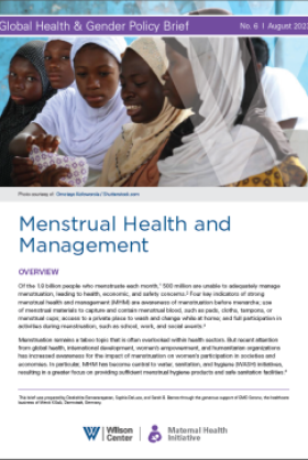 Page one of policy brief by the Maternal Health Initiative