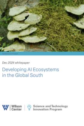 Front page of the publication: Developing AI Ecosystems in the Global South with a picture of mushrooms on the top