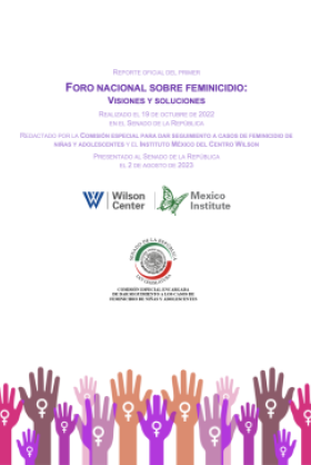 REPORTE OFICIAL DEL PRIMER FORO NACIONAL SOBRE FEMINICIDIO: VISIONES Y SOLUCIONES