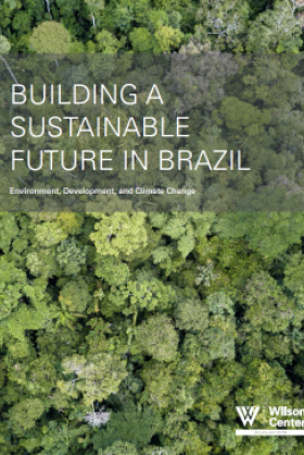 Image - 2020 Sustainable Brazil report cover